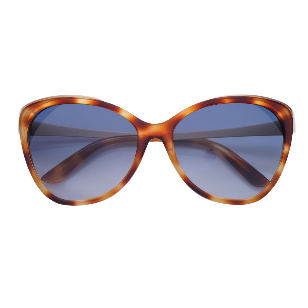 Daggerwing: Leopard Tortoise / Blue Gradient AR Lens
