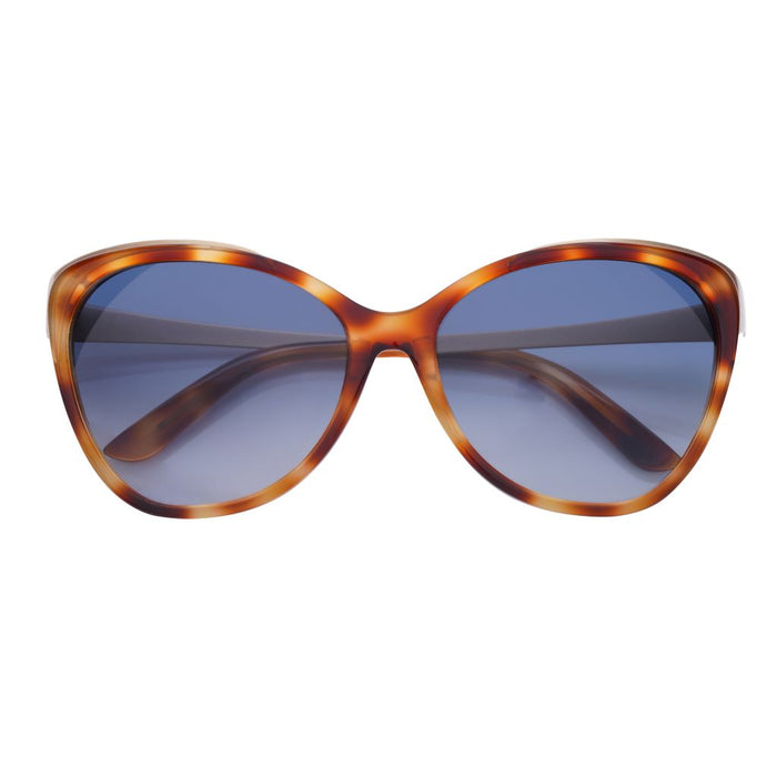 Daggerwing: Leopard Tortoise / Blue Gradient AR Lens