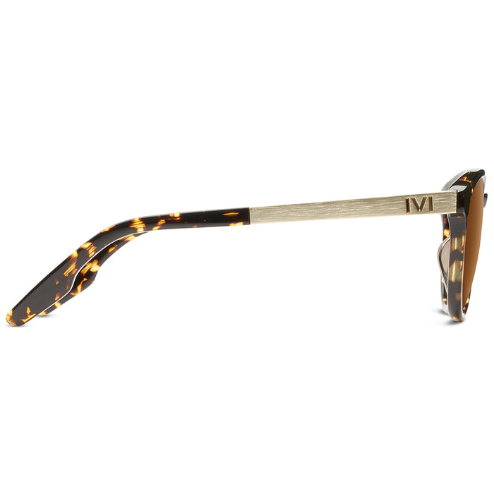 Brooks: Polished Ambercomb Tortoise - Brushed Gold / Bronze AR Lens