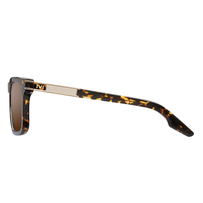 Gravitas: Polished Ambercomb Tortoise - Brushed Gold / Bronze AR Lens